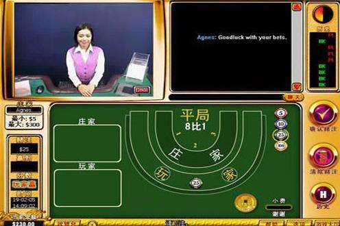 赌博线上游戏(赌博的游戏平台)